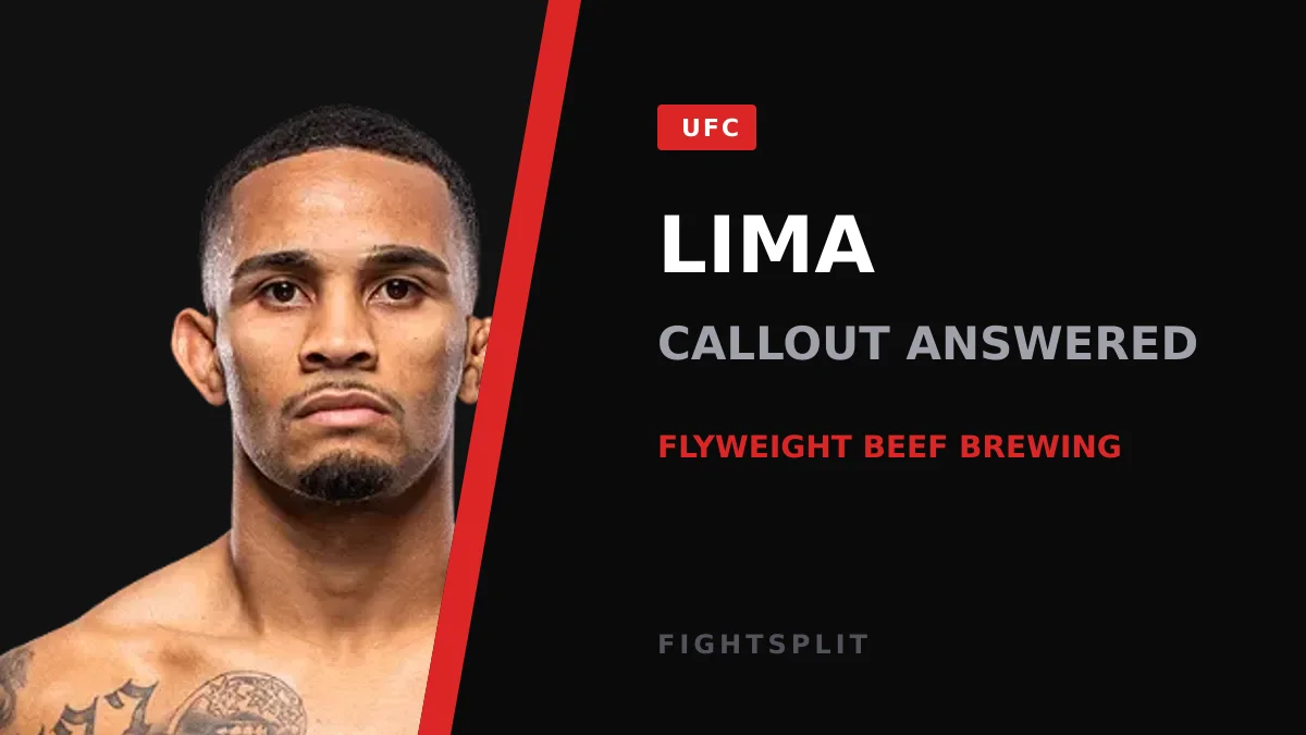 UFC flyweight Andre Lima inside the Octagon