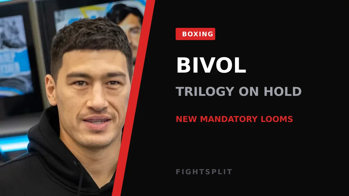 Dmitry Bivol in the ring during a light-heavyweight title fight