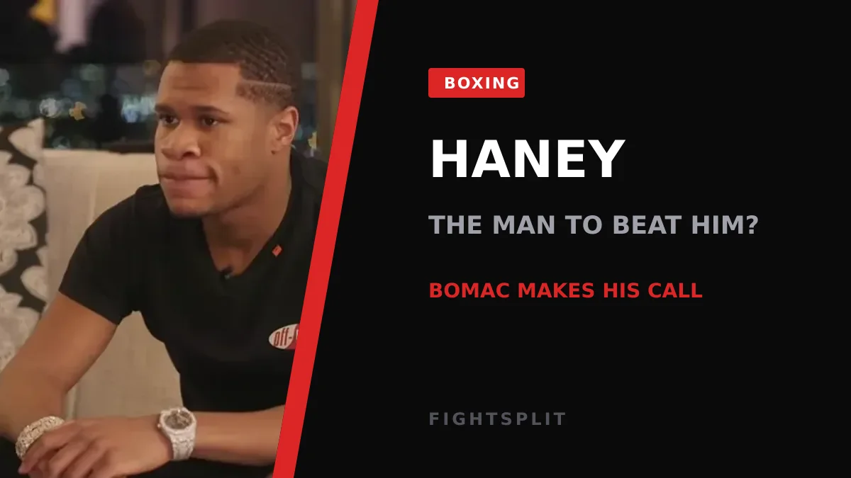 WBO welterweight champion Devin Haney during a boxing event