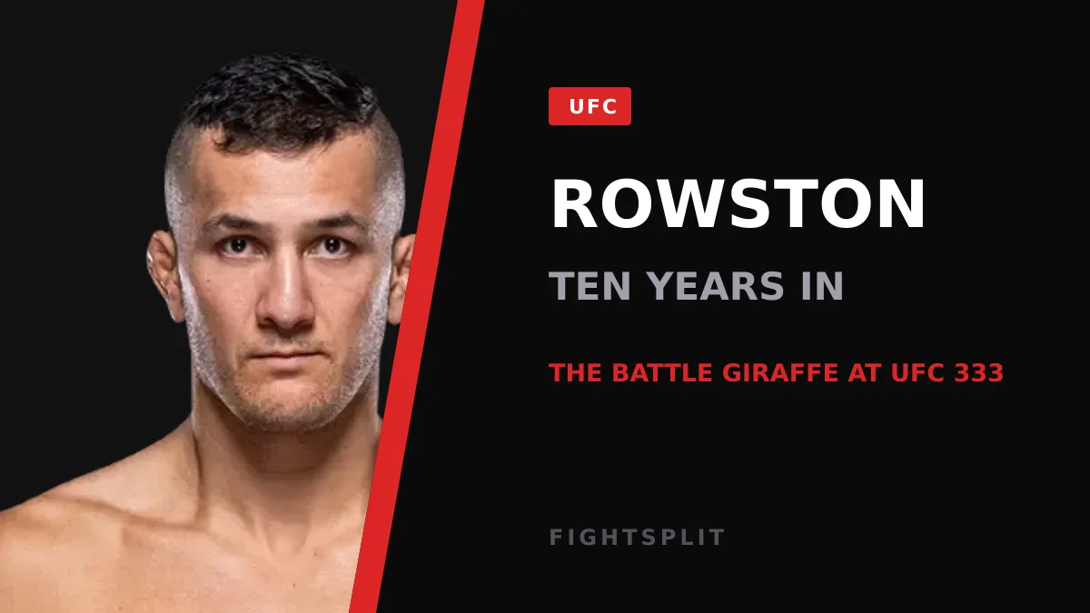 Cam Rowston throwing a punch during a UFC bout
