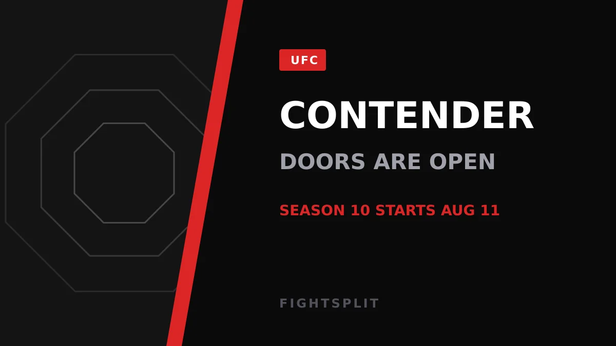 UFC flyweight Maycee Barber during a fight inside the Octagon