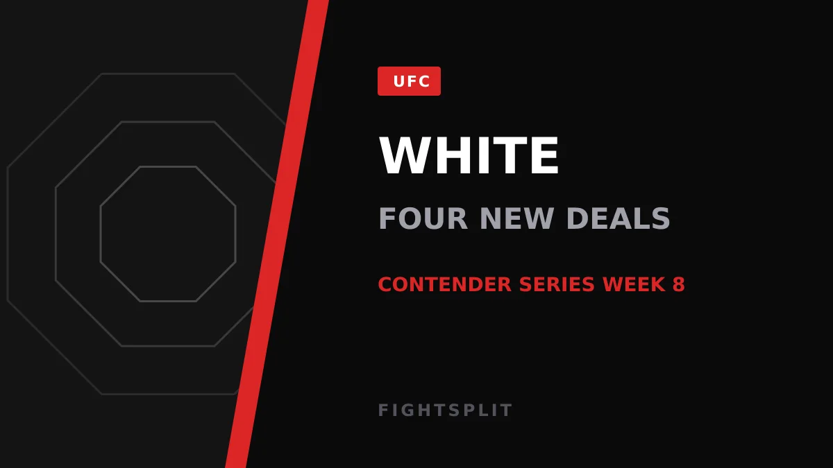 UFC CEO Dana White speaking to the media at a post-fight press conference