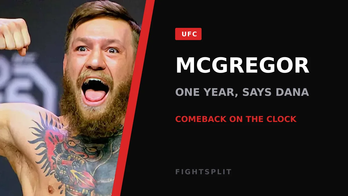 Conor McGregor inside the octagon during a UFC event