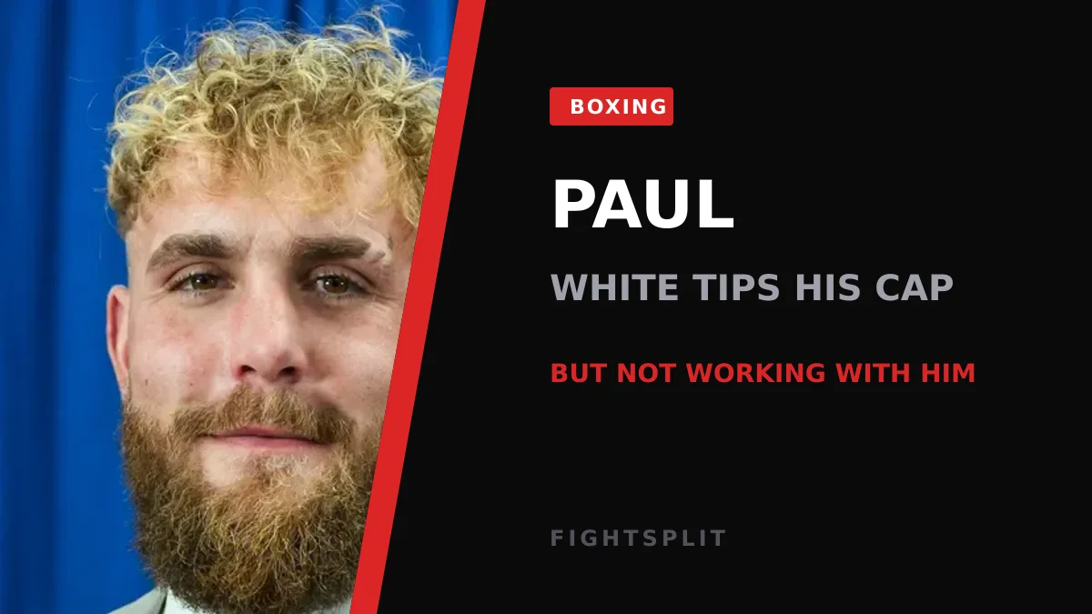 Anthony Joshua lands a punch on Jake Paul during their heavyweight bout in Miami