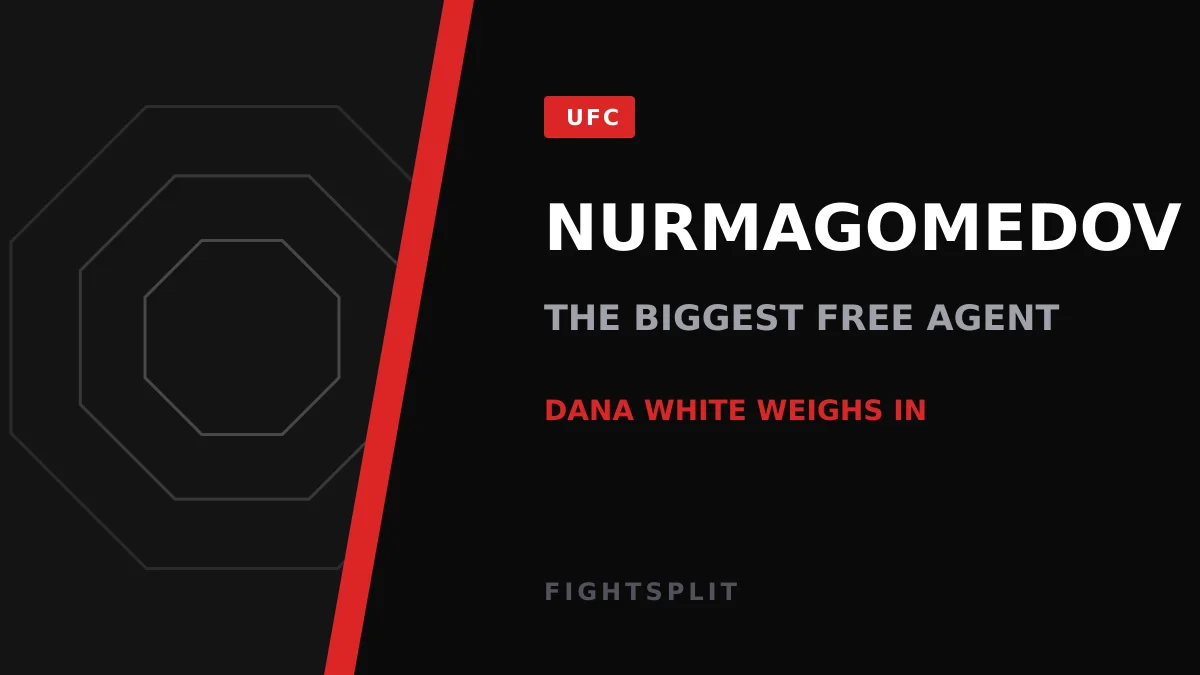 Usman Nurmagomedov celebrates a win inside the cage