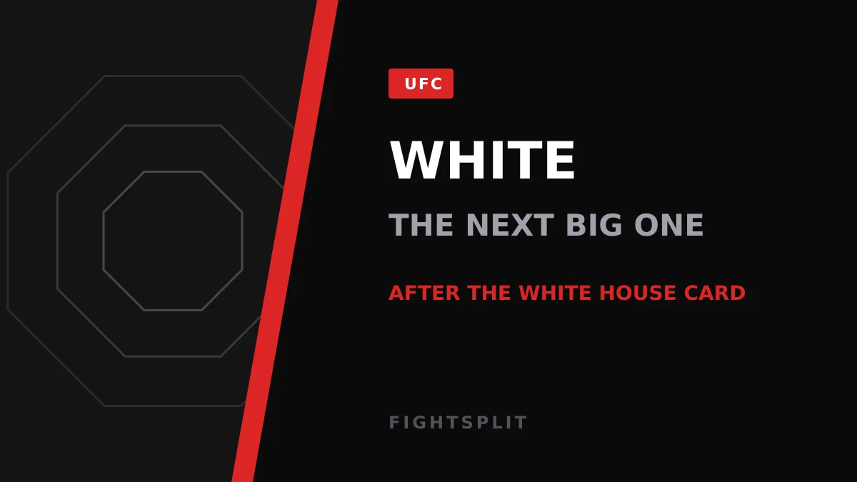 UFC CEO Dana White speaking at a press event