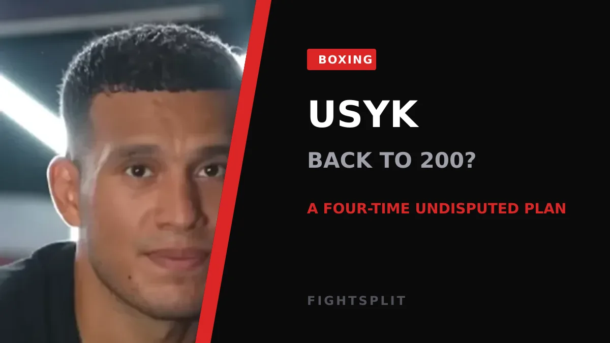 Oleksandr Usyk during a championship fight