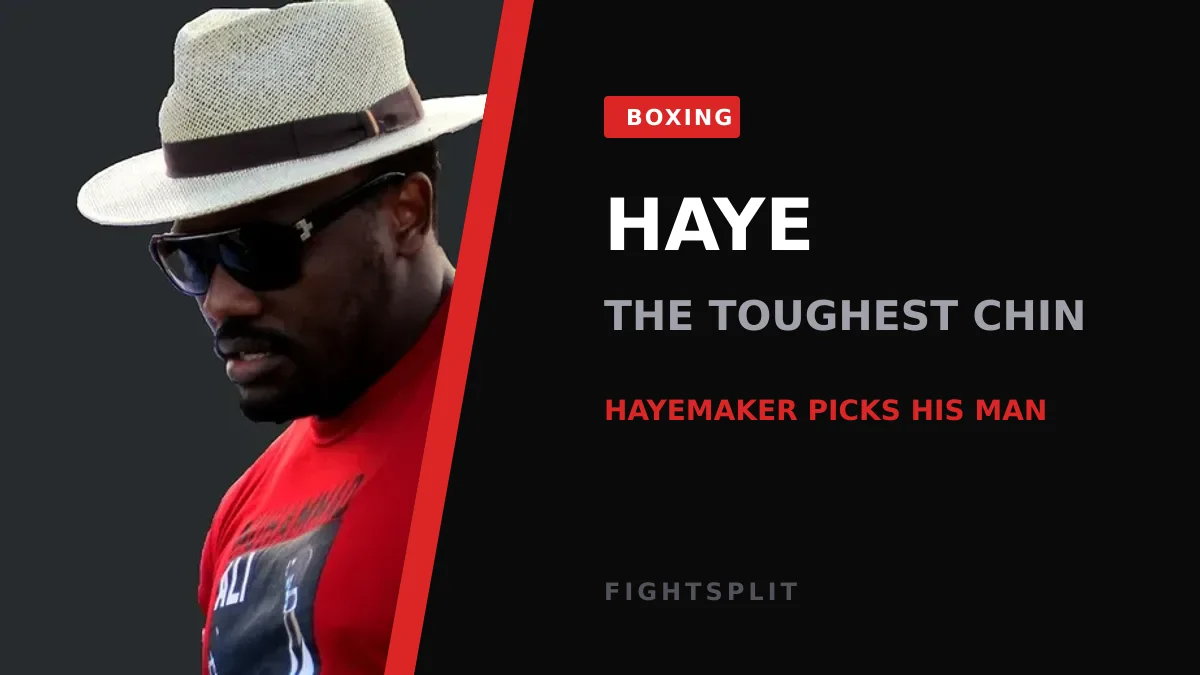 David Haye during his heavyweight boxing career