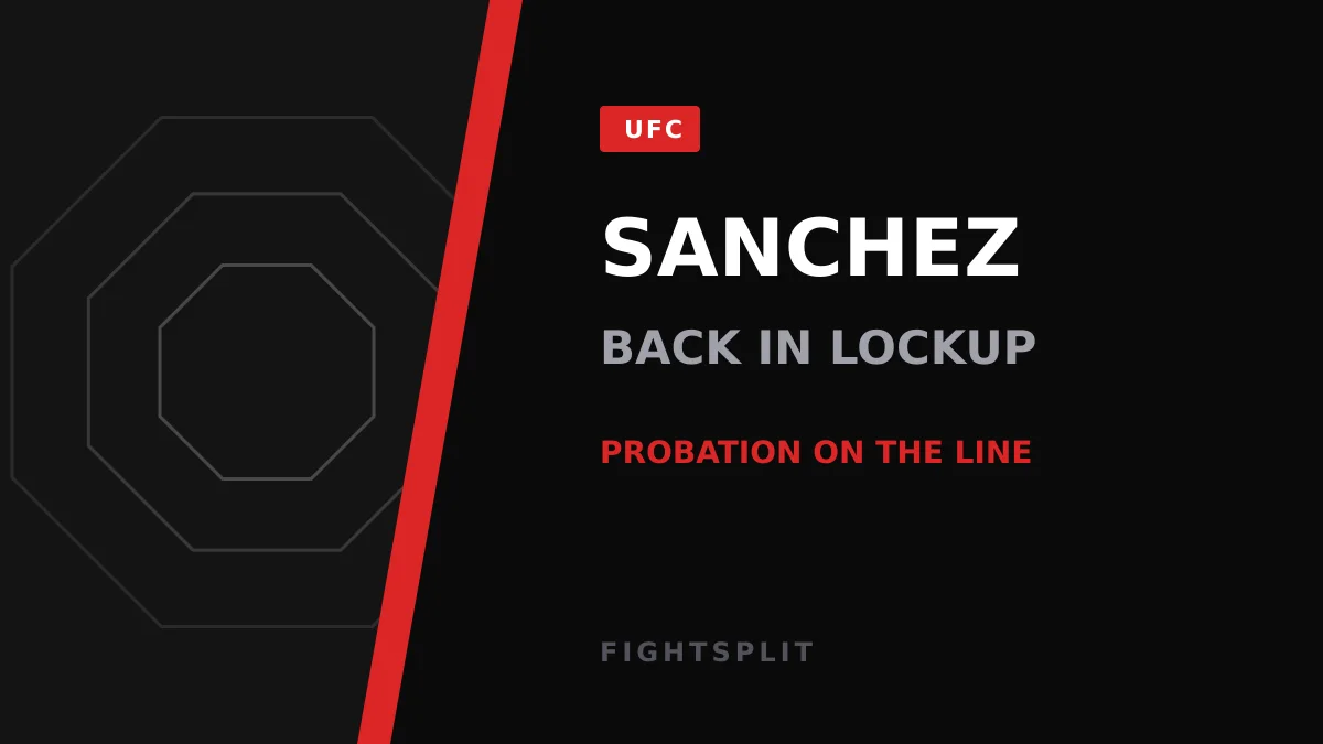 Former UFC fighter Diego Sanchez during his fighting career