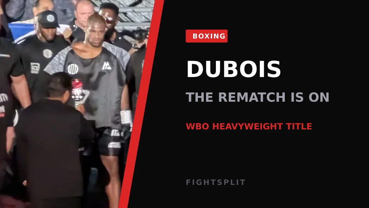 Daniel Dubois lands a punch on Fabio Wardley during their WBO heavyweight title fight