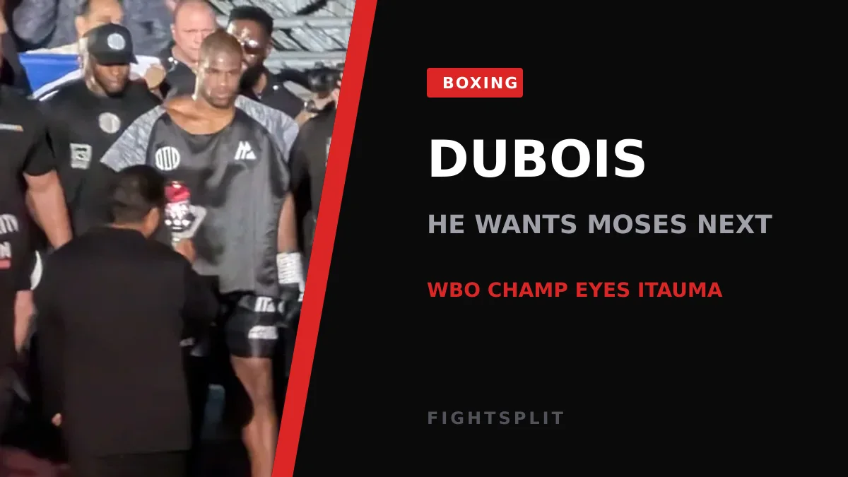 WBO heavyweight champion Daniel Dubois during a fight