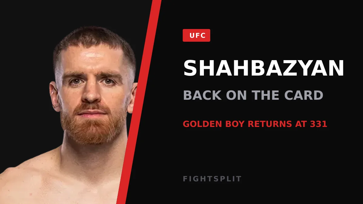 Edmen Shahbazyan inside the UFC octagon during a middleweight bout