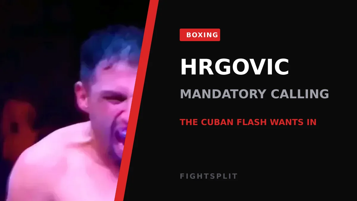 Croatian heavyweight Filip Hrgovic in the ring during a title fight