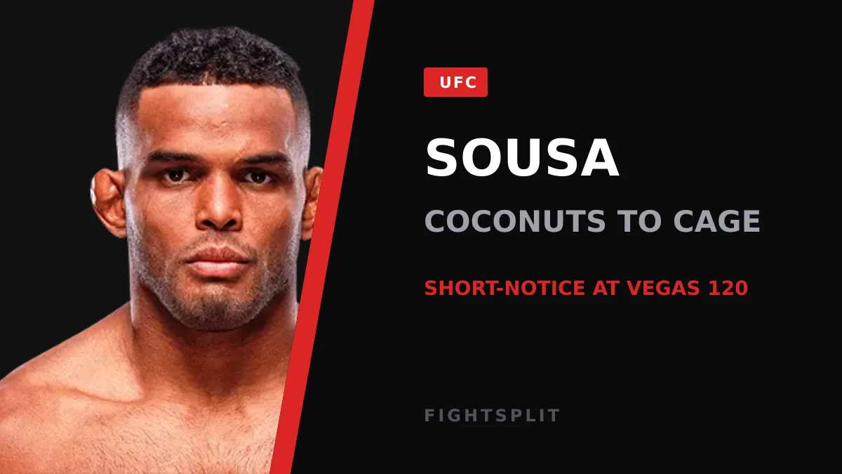 Brazilian lightweight Manoel Sousa in a UFC bout