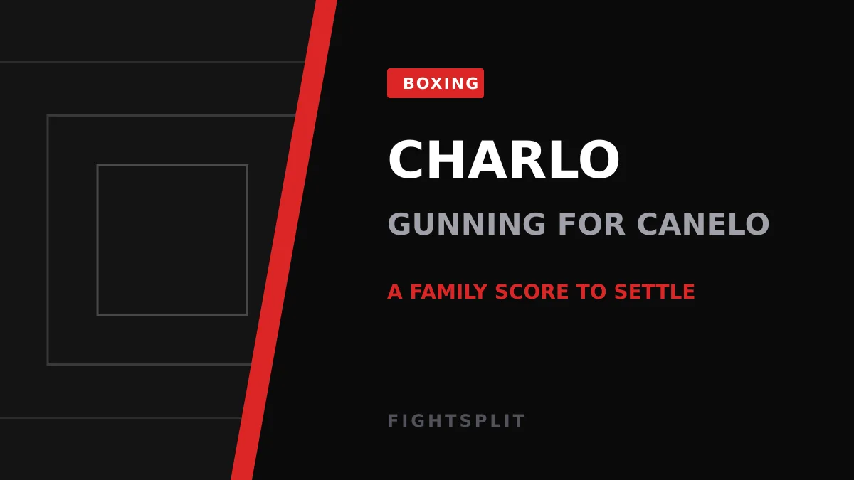 Canelo Alvarez during a championship super-middleweight bout