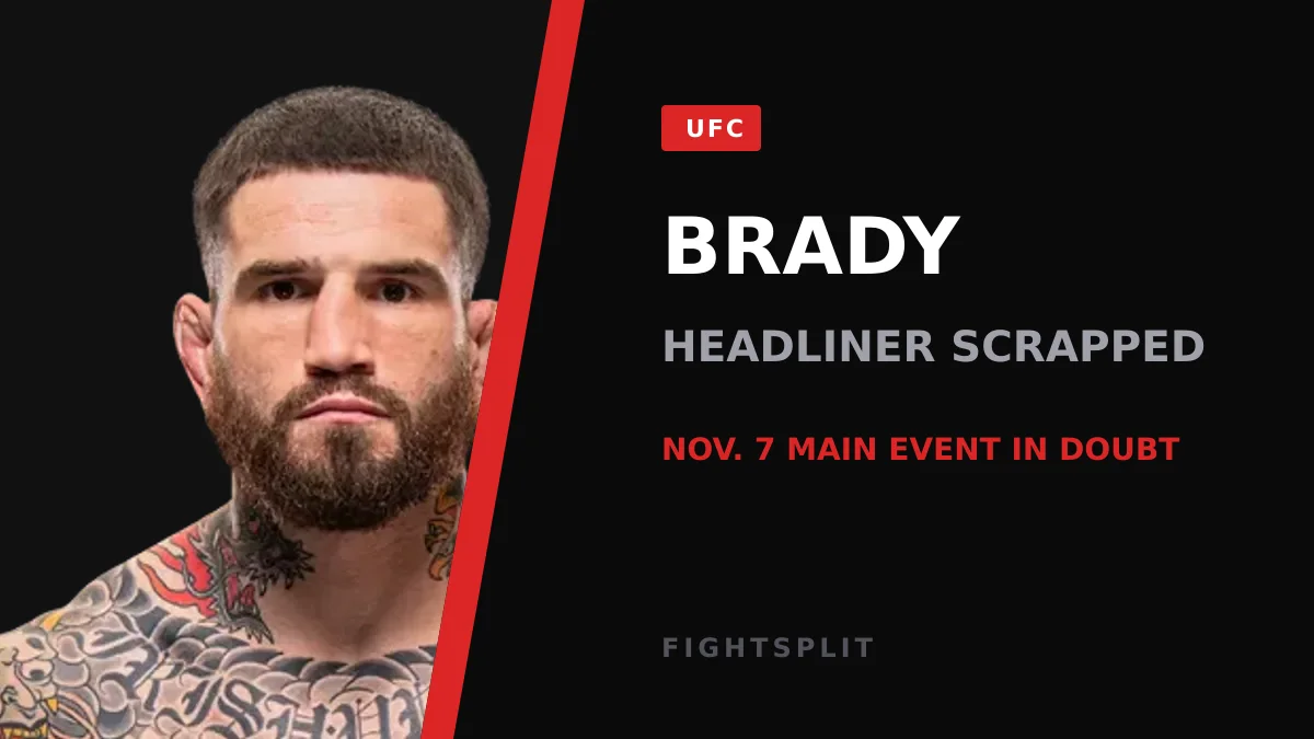 Sean Brady competing inside the UFC Octagon