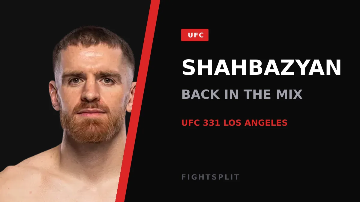 Edmen Shahbazyan in the Octagon during a UFC middleweight bout
