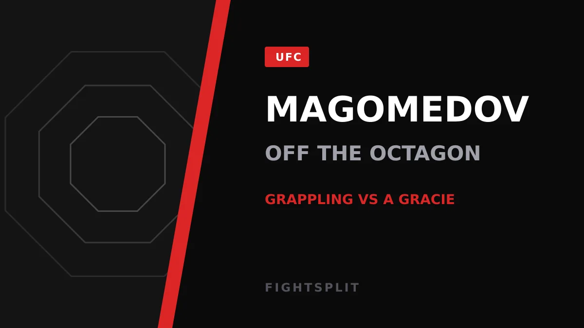 Shara Magomedov during a UFC middleweight bout