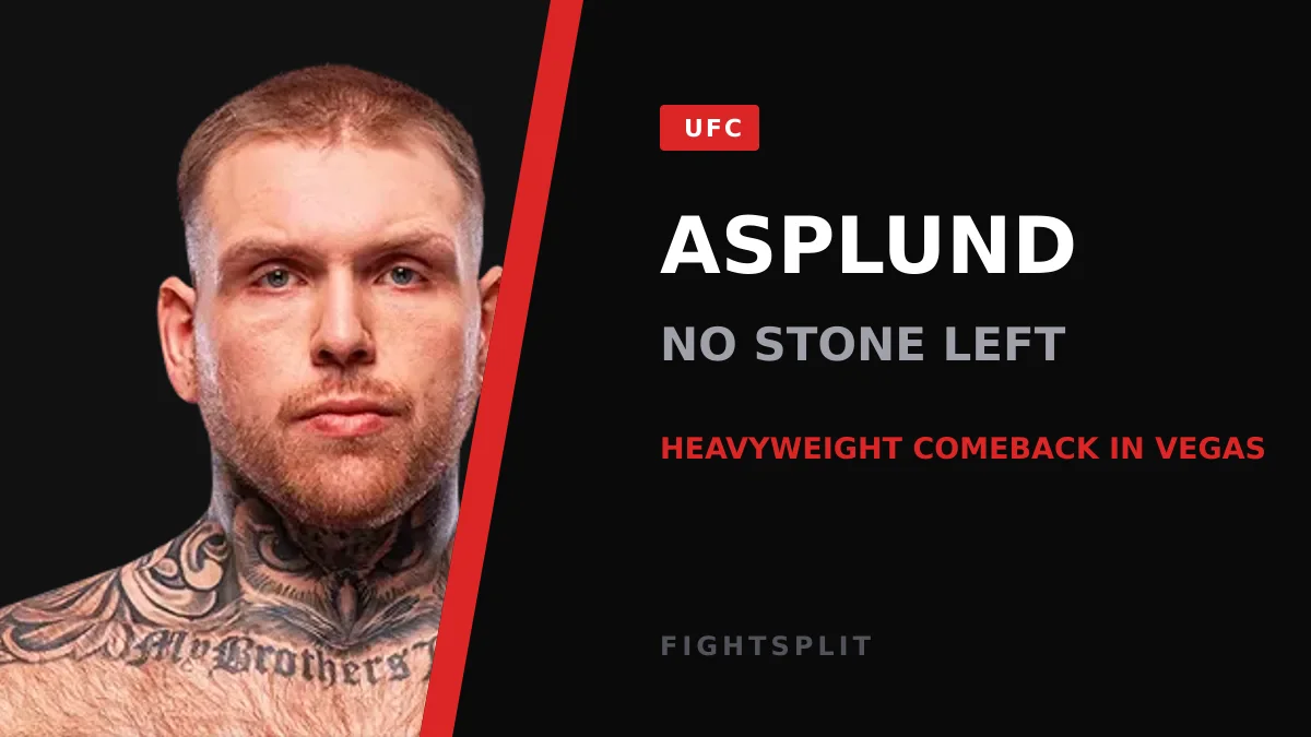 UFC heavyweight Steven Asplund inside the Octagon