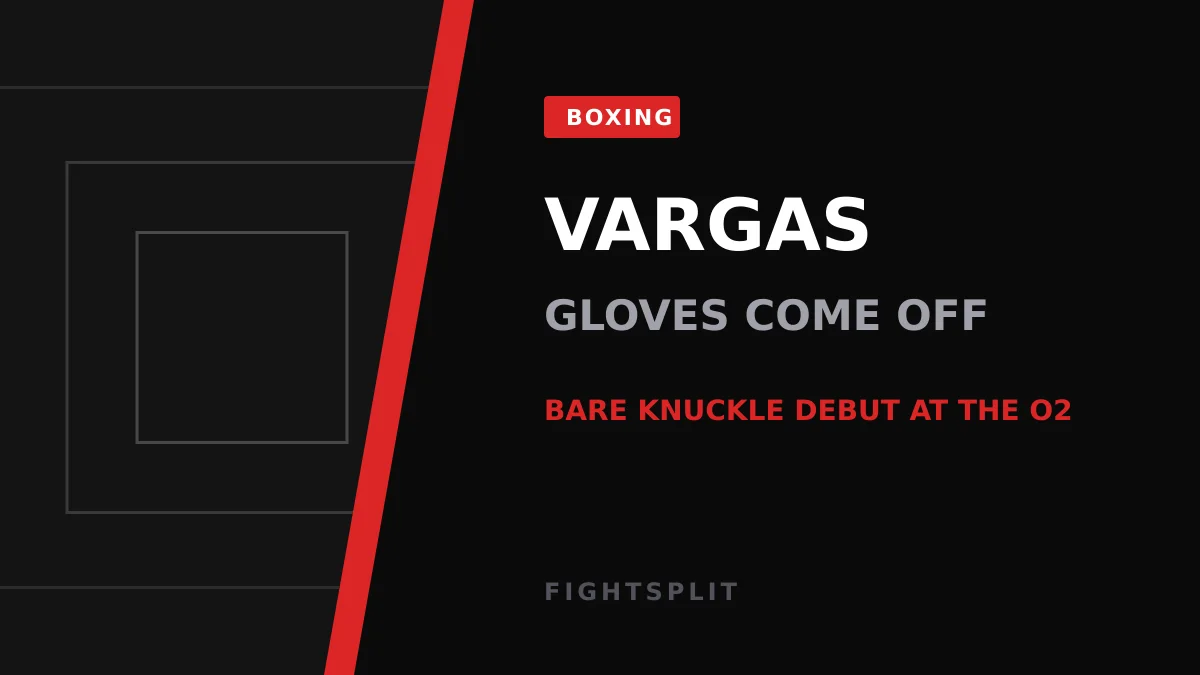 A bare knuckle boxing ring under bright arena lights