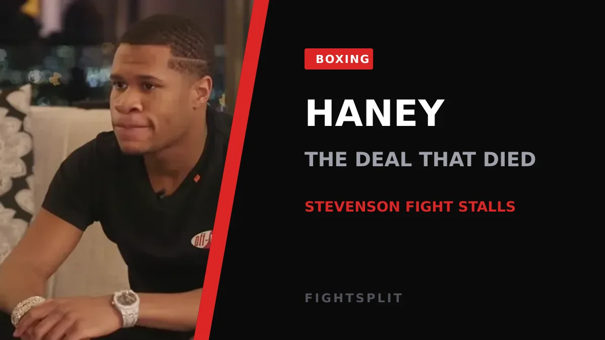 Devin Haney in the ring during a world title fight